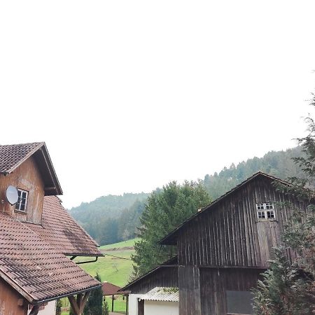 Geraeumige Wohnung Im Schwarzwald Seelbach  Exterior photo