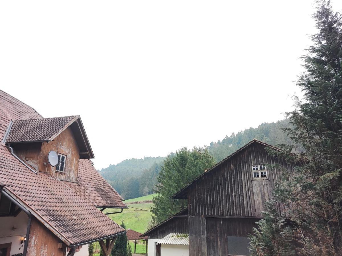 Geraeumige Wohnung Im Schwarzwald Seelbach  Exterior photo