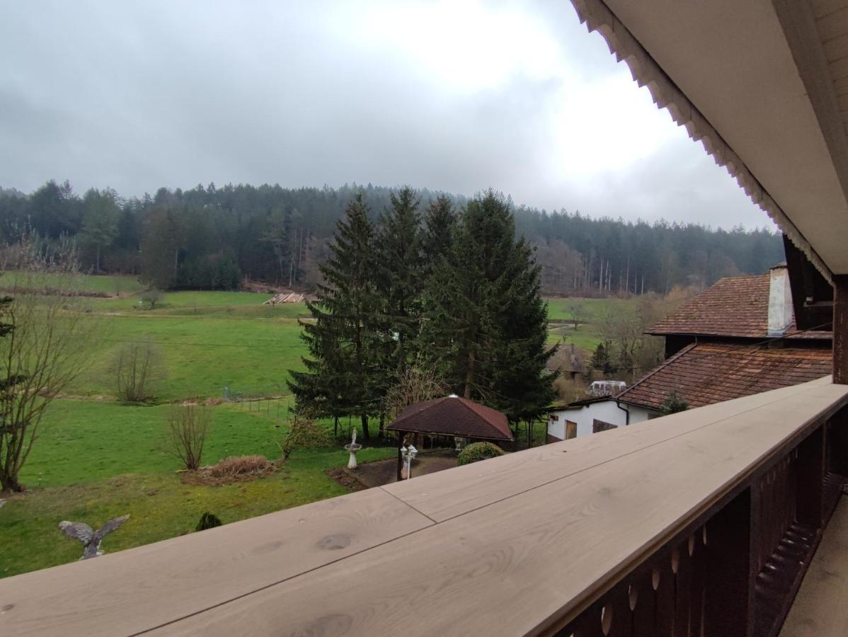 Geraeumige Wohnung Im Schwarzwald Seelbach  Exterior photo