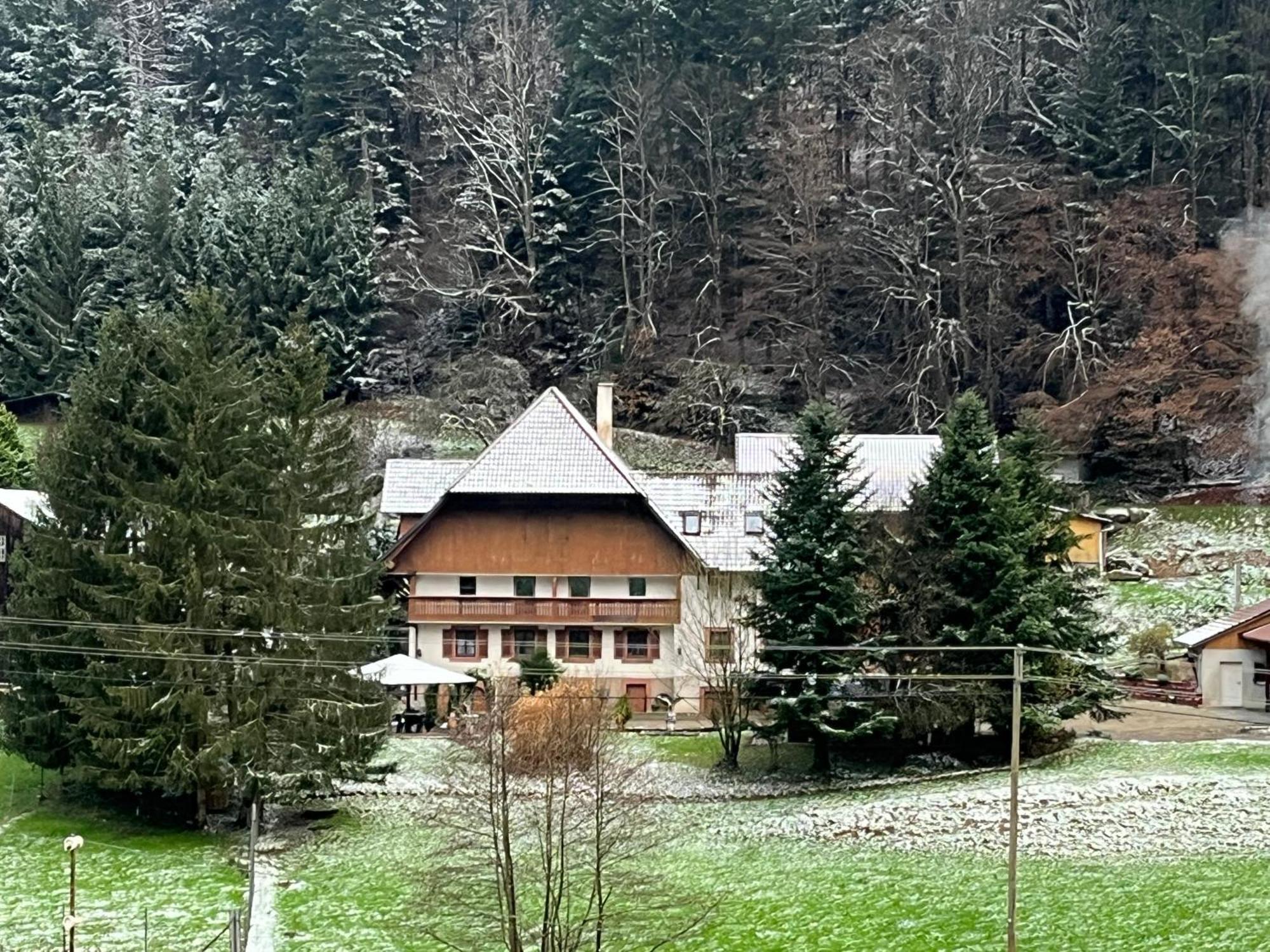 Geraeumige Wohnung Im Schwarzwald Seelbach  Exterior photo